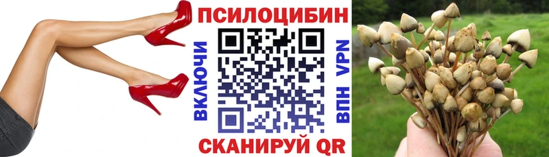 Псилоцибиновые грибы прущие грибы  Раменское 